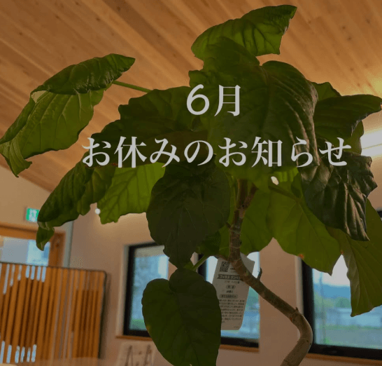 2026.5.23(sat)