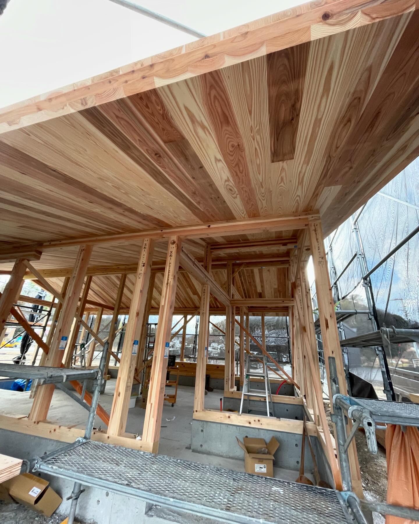 2025.01.20(mon) 建築吉日 建(たつ)